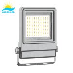 100W Elfin LED-Flutlicht (1)