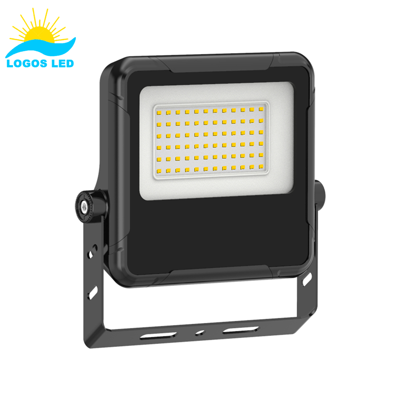 LED Mini Flood Light 30W Carina LED Flood Light (1)